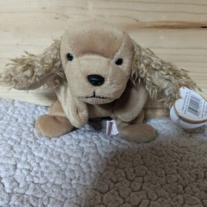 Ty Beanie Baby Spunky puppy dog, cocker spaniel, collectible plush toy